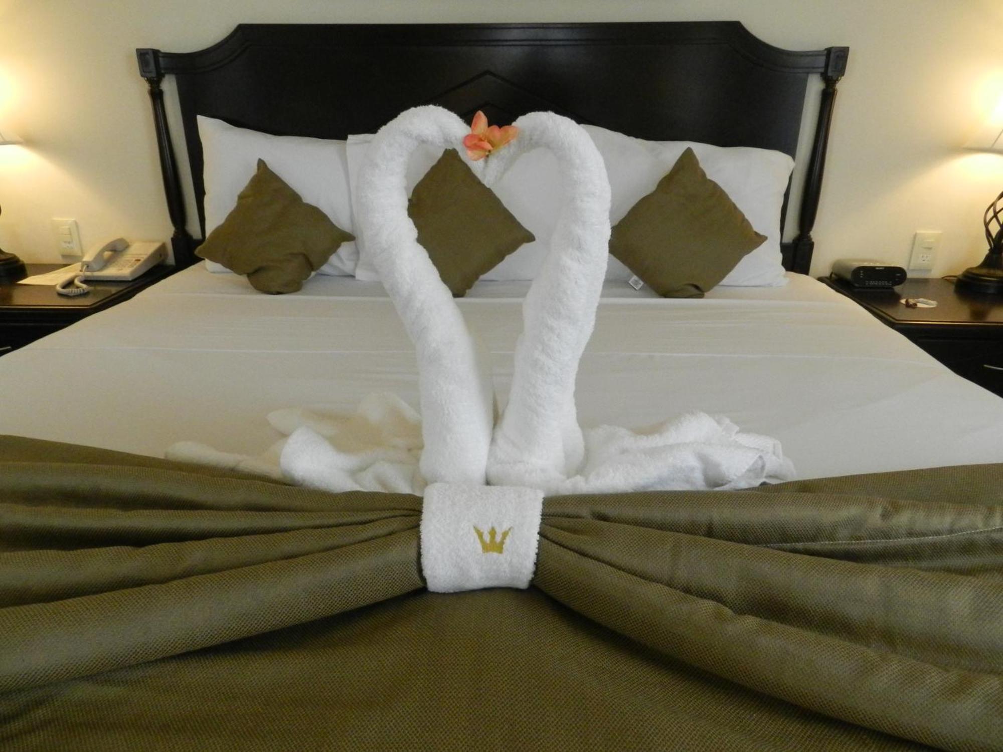 Hotel Victoria Mérida Dış mekan fotoğraf A bed with a towel swan